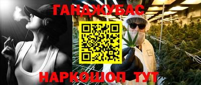 индика Мариинск
