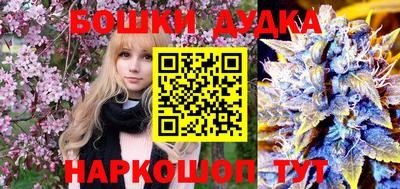 индика Мариинск
