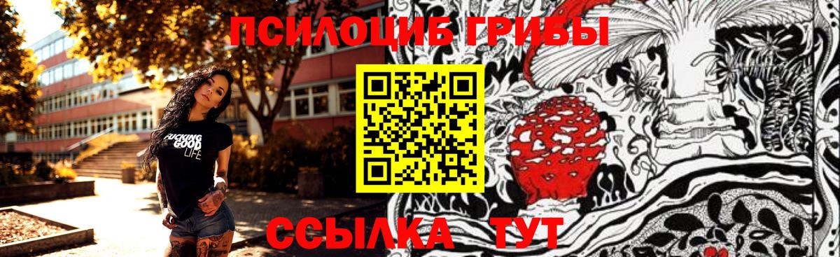 Псилоцибиновые грибы GOLDEN TEACHER Черногорск